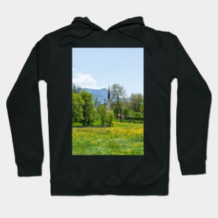 Flower meadow with fruit trees in spring, Bad Wiessee, Tegernsee Hoodie